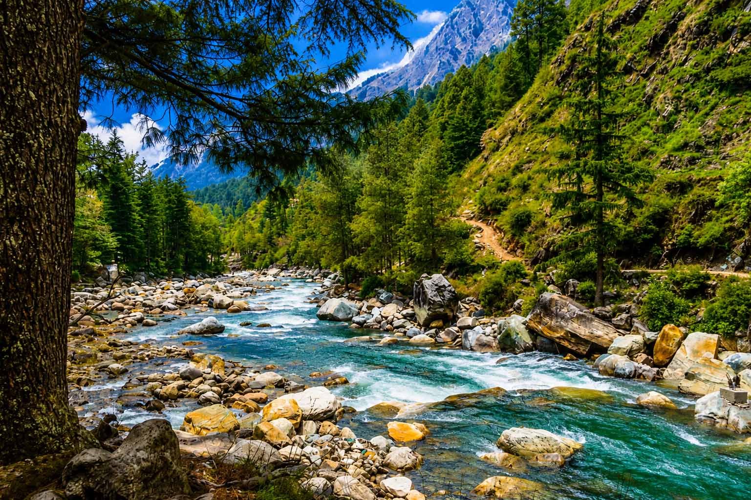 Kasol Village