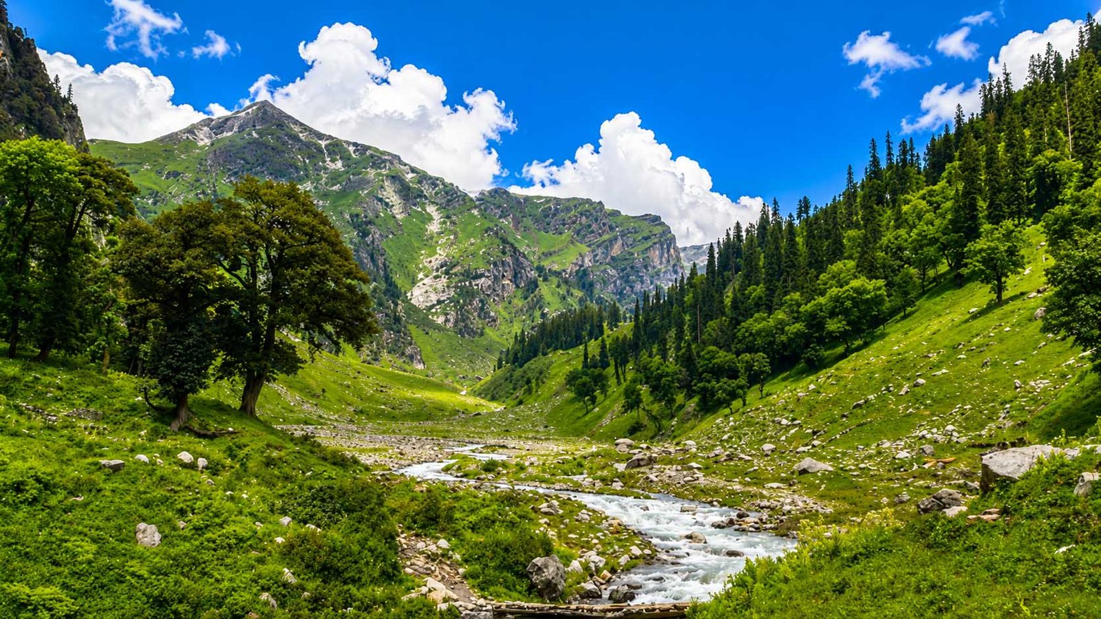 Great Himalayan National Park